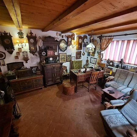 Pensiunea Otilia Sighişoara Dış mekan fotoğraf